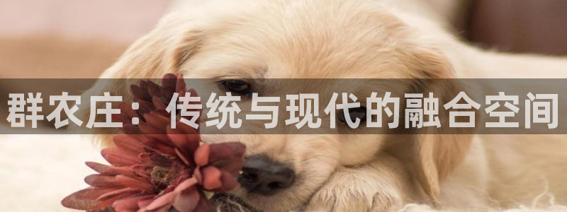 天辰娱乐下载地址