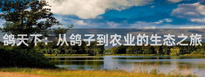 天辰娱乐平台入口