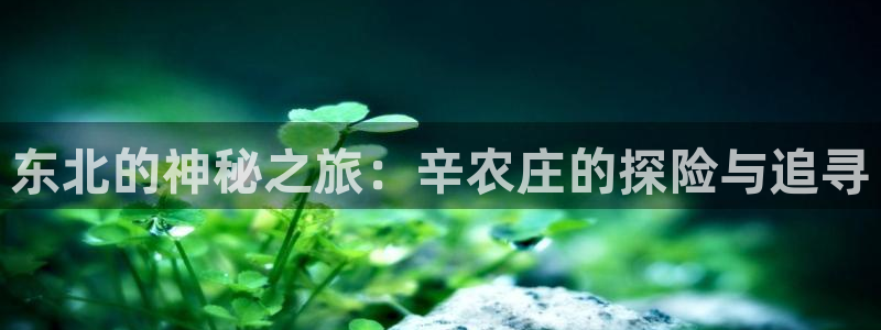 天辰娱乐游戏平台怎么样