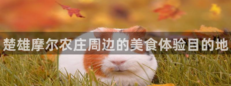 天辰娱乐好吗