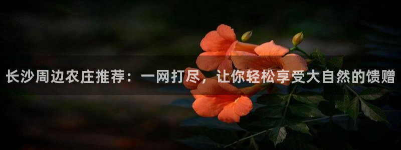天辰娱乐代理