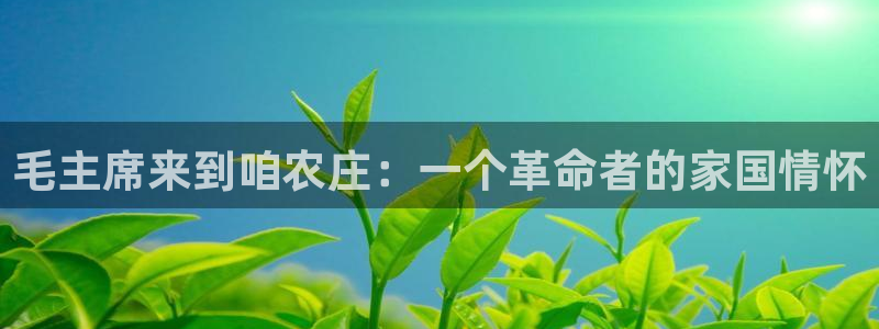 天辰娱乐主管
