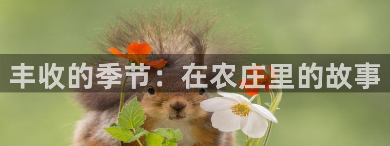 天辰娱乐游戏