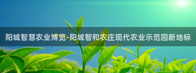 天辰娱乐元宝