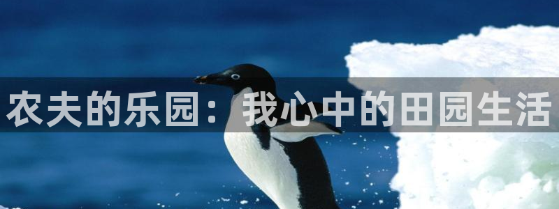 天辰娱乐输了