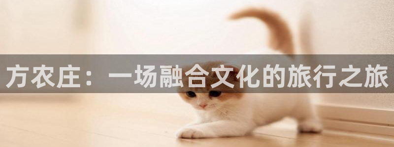 天辰娱乐线路