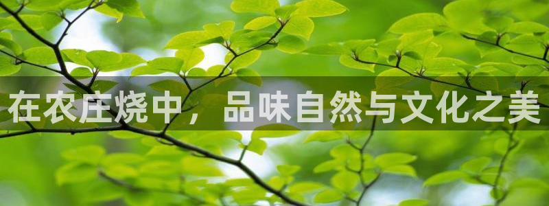 天辰娱乐游戏