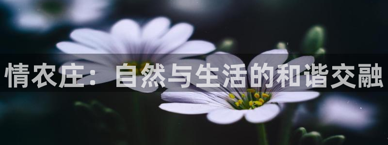 天辰娱乐所