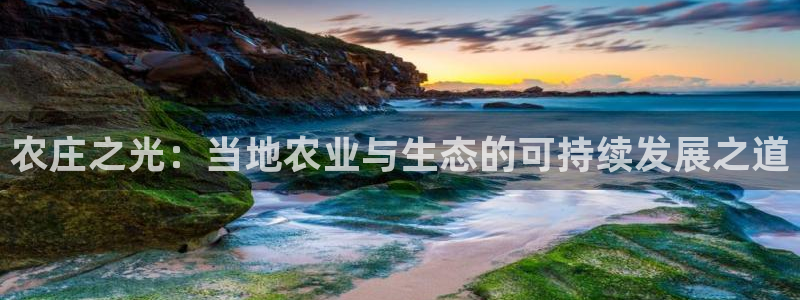 天辰娱乐官网平台入口