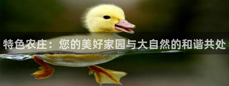 天辰娱乐内部