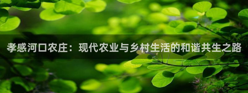 天辰娱乐登陆平台