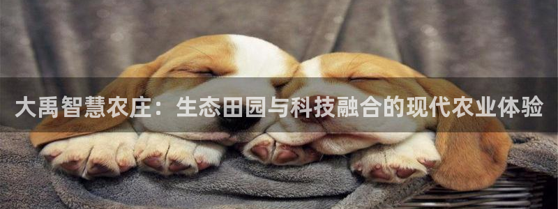 天辰娱乐557696