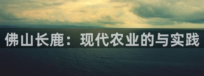 天辰娱乐51137