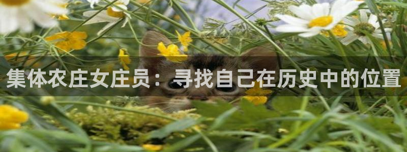 天辰娱乐平台入口