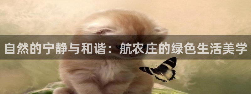 菲律宾天辰娱乐