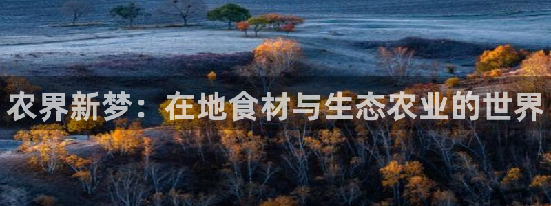 天辰娱乐957807