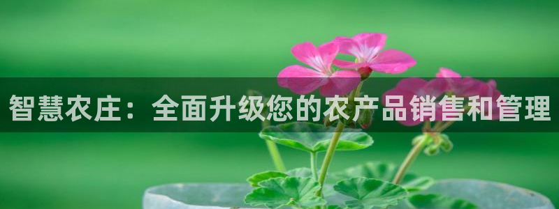 天辰娱乐下载链接