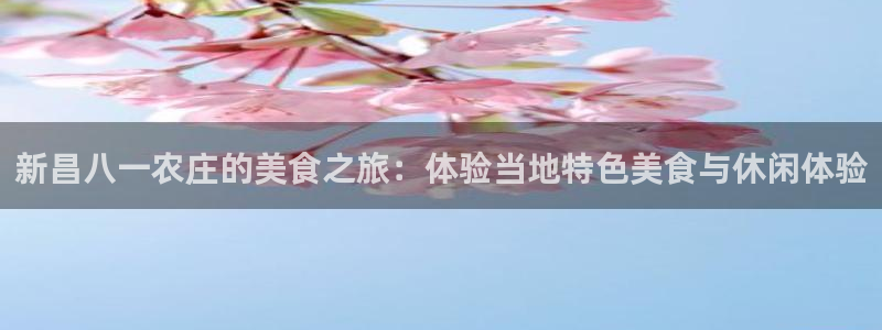 天辰娱乐上级