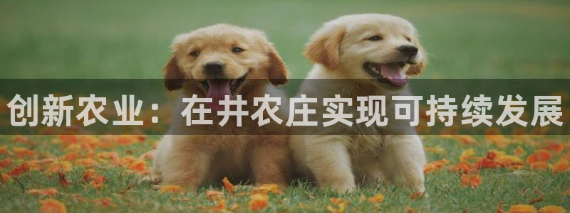 天辰娱乐文案