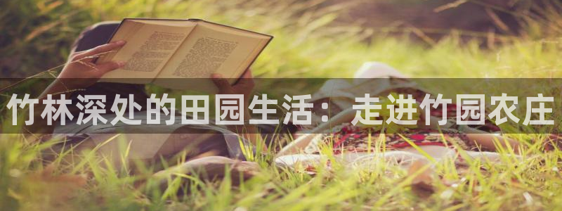 天辰娱乐平台地址