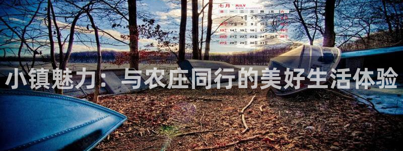 南充天辰娱乐