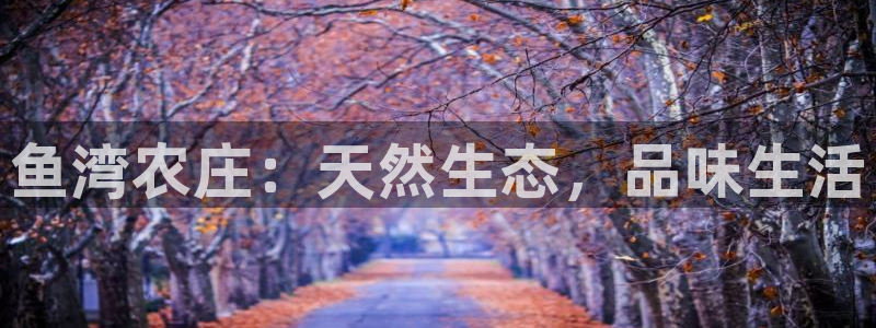 徐州天辰娱乐