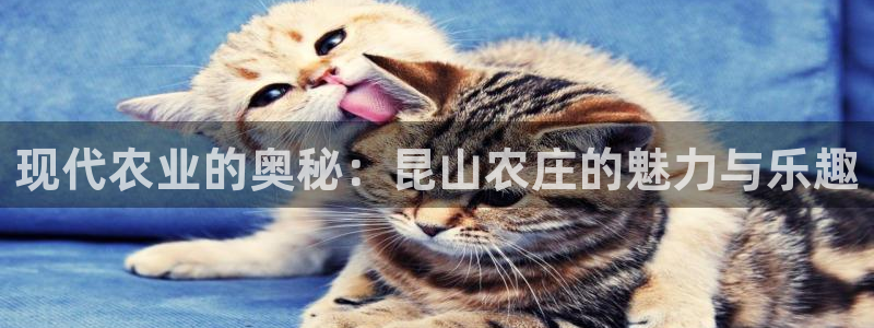nba天辰娱乐