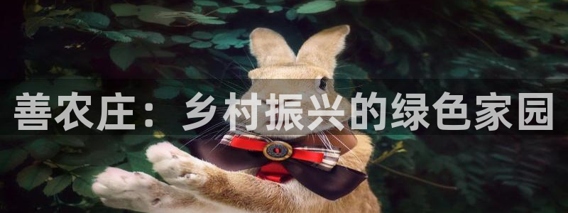 菲律宾天辰娱乐
