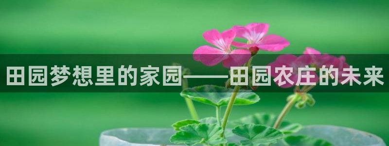 天辰娱乐平台娱乐注册