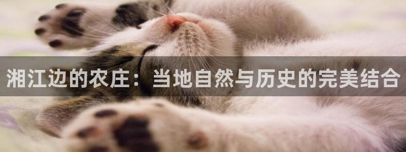 天辰娱乐招商