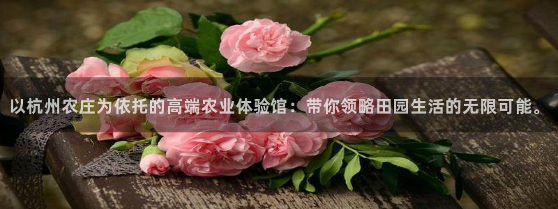 天辰娱乐客服