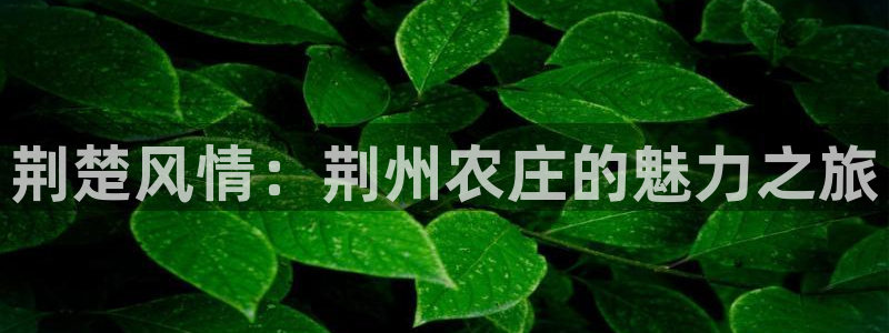 天辰娱乐7天22650