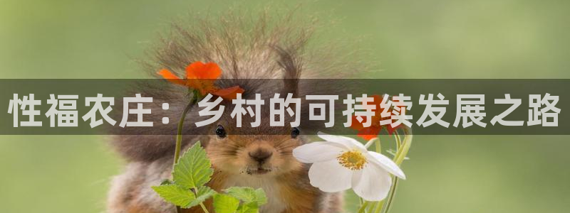 天辰娱乐路线