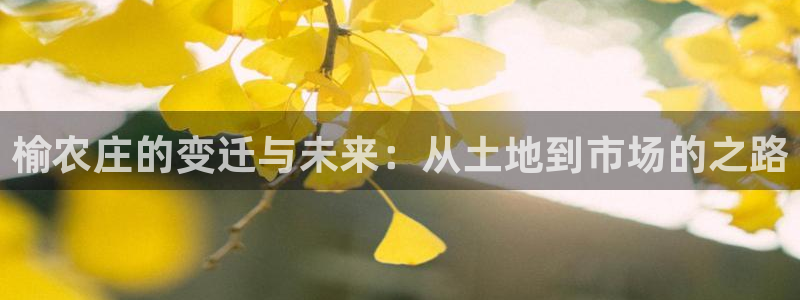 天辰娱乐娱乐平台