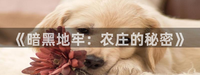 天辰娱乐 . 鱼刺