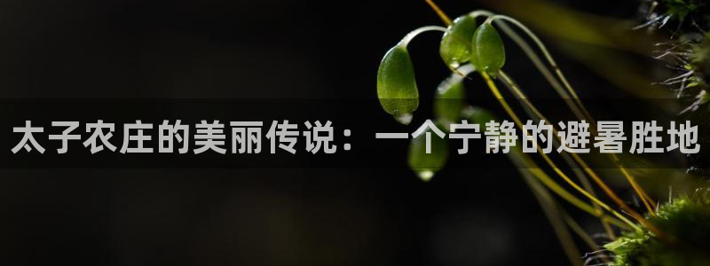 天辰 娱乐 注册