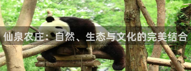 天辰娱乐跑的快