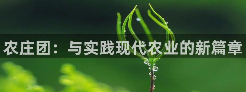 天辰娱乐网址娱乐游戏