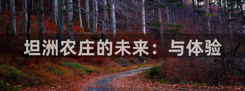 天辰娱乐总管年薪