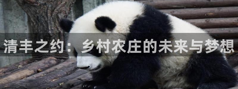 天辰娱乐平台安全吗