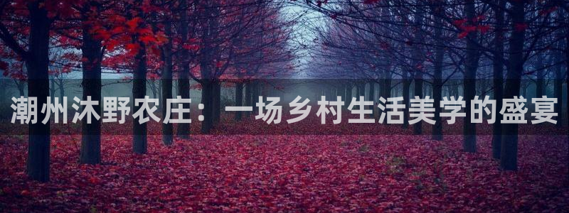 天辰娱乐平台入口