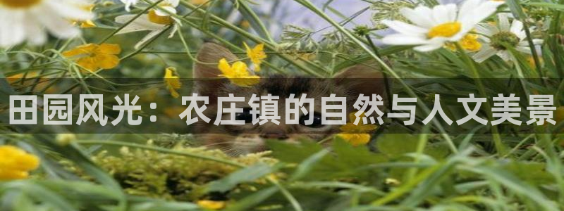 天辰娱乐注册登录