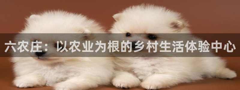 天辰娱乐天辰宝