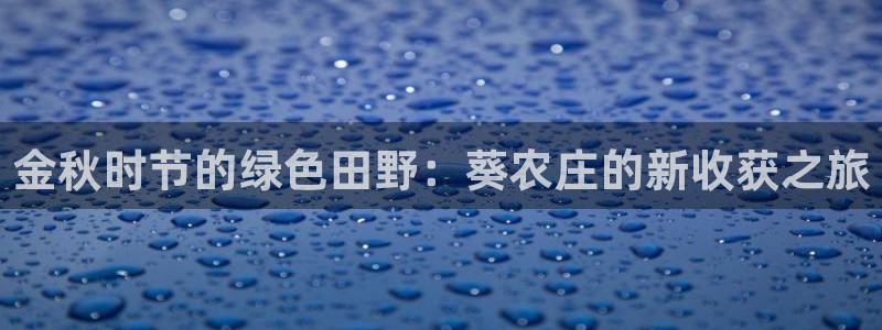 天辰 娱乐 注册