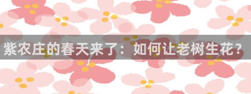 天辰 娱乐 注册