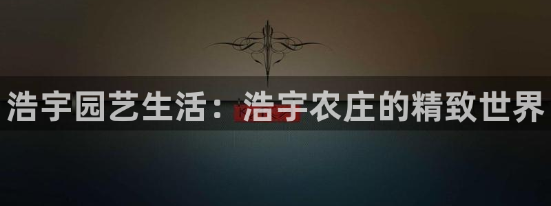 天辰娱乐十分彩