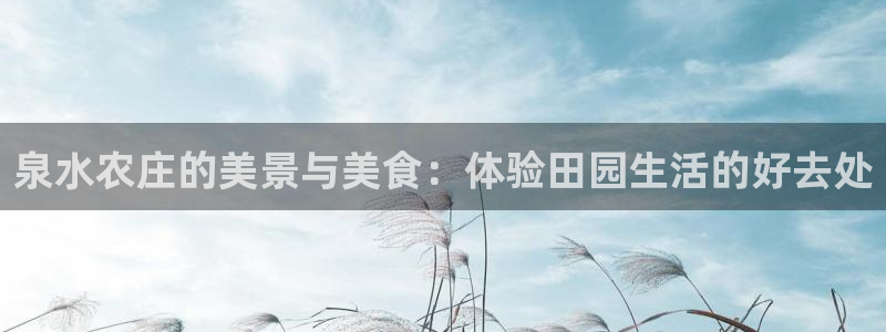 天辰娱乐平台地址