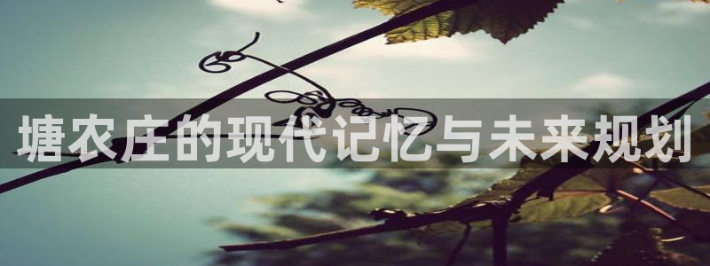 天辰娱乐 主管