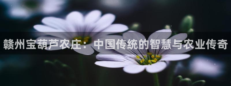 天辰娱乐股票