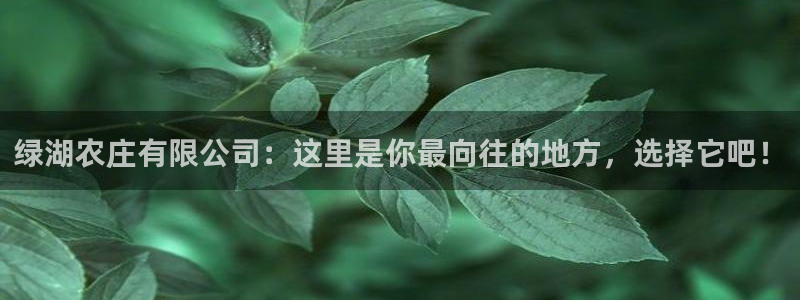 天富娱乐天辰娱乐